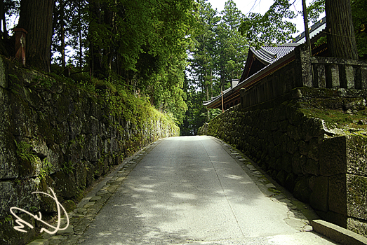 nikko